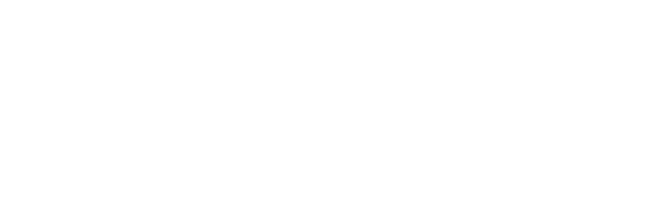 Aging Pet Care